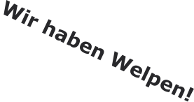 Wir haben Welpen!