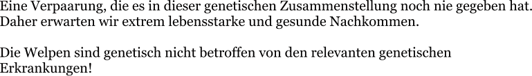 Eine Verpaarung, die es in dieser genetischen Zusammenstellung noch nie gegeben hat. Daher erwarten wir extrem lebensstarke und gesunde Nachkommen.  Die Welpen sind genetisch nicht betroffen von den relevanten genetischen Erkrankungen!