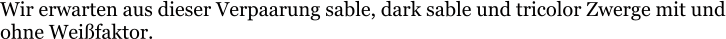 Wir erwarten aus dieser Verpaarung sable, dark sable und tricolor Zwerge mit und ohne Weißfaktor.